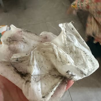 Bodrum Park Resort'ta Fiyat Farkı Ve İlgisizlik Hayal Kırıklığı Yarattı