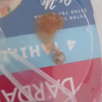 Tamek Kaliteli Değil Sağlıksız