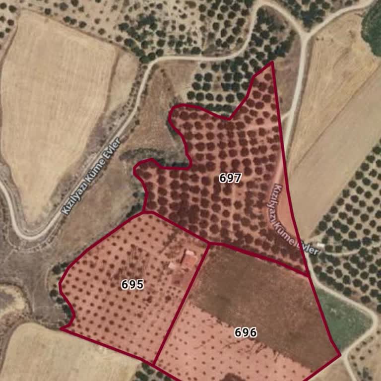 Parsel Yol Anlaşması Nedeniyle Kayısı Ağaçlarım Tehlikede