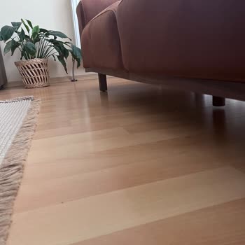 Yeni Alınan Koltuk Takımında Bitmeyen Yapısal Sorunlar Ve Servis Mağduriyeti