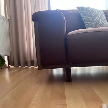 Yeni Alınan Koltuk Takımında Bitmeyen Yapısal Sorunlar Ve Servis Mağduriyeti