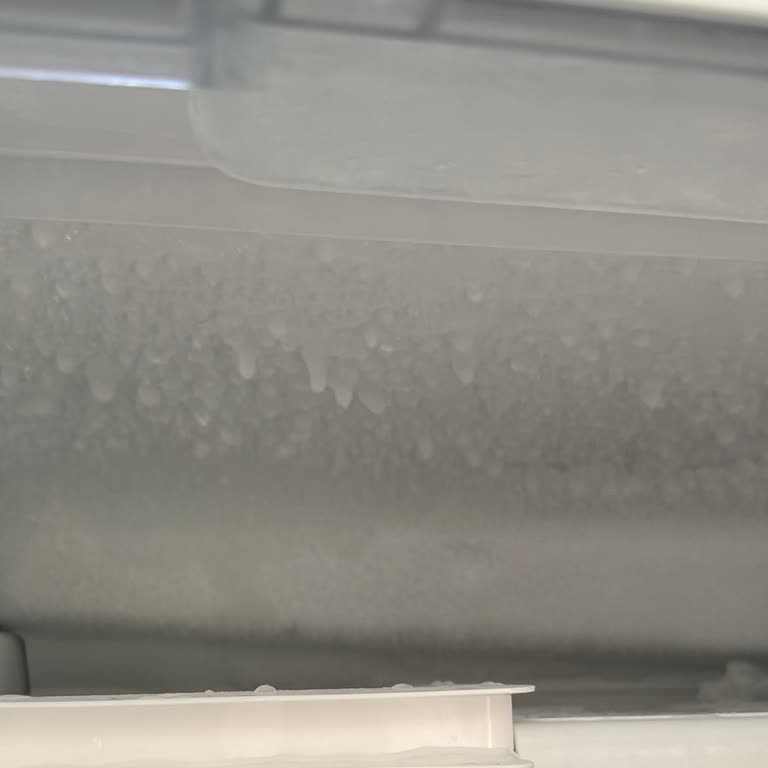 Dikey Dondurucuda Süregelen Teknik Sorunlar ve Yetersiz Servis Deneyimi