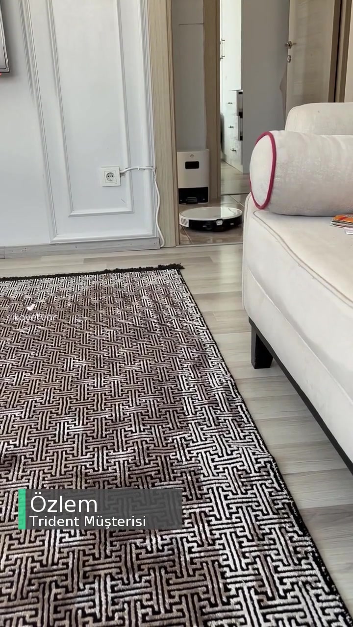 Trident TPL25B Pişmanlığımız! videonun kapak resmi