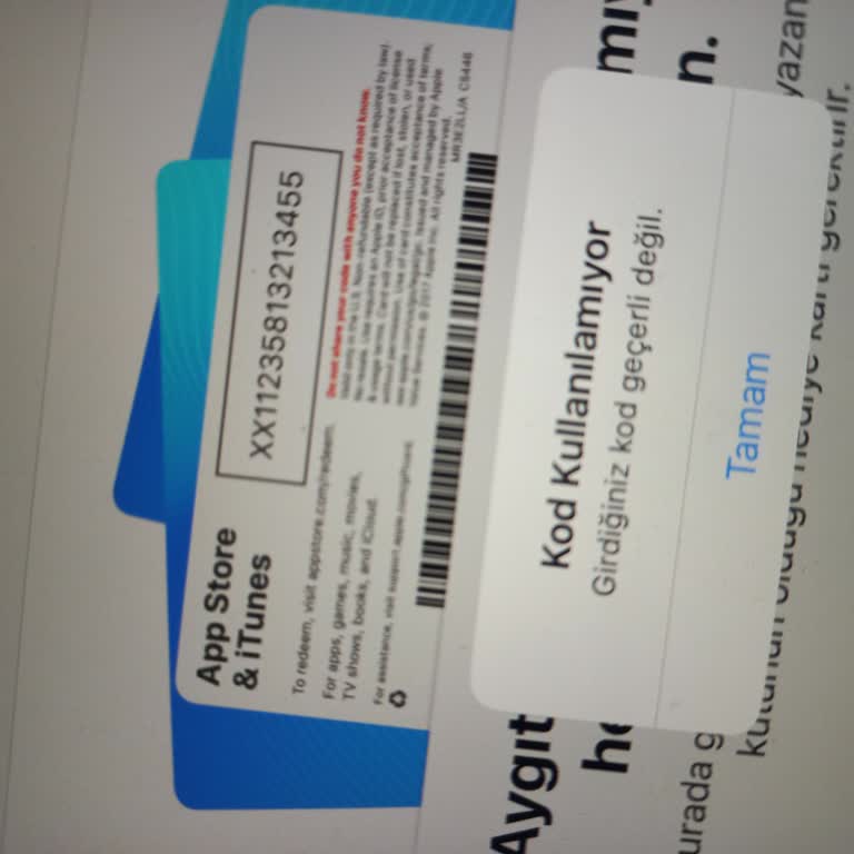 Algida Kazan Kampanyasında Kod Sorunu Ve Kullanılamayan Puanlar