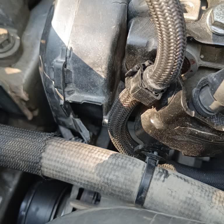 Yanlışlıkla Verilen Yüksek Puanın Düzeltilmemesi Mağduriyet Yarattı