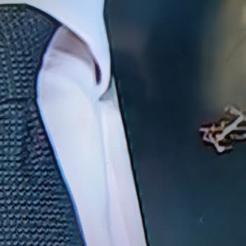 Samsung TV’de Bitmeyen Ölü Piksel Sorunu Ve Servis Mağduriyeti