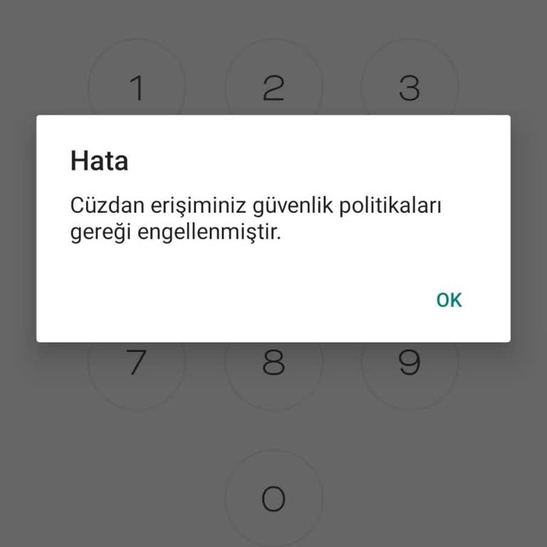 Kassa Uygulamasında Güvenlik Engeli Ve Müşteri Hizmetlerine Ulaşılamıyor