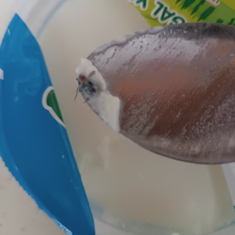 Aldığım Yoğurtta Sinek Çıktı, Müşteri Hizmetlerine Ulaşamıyorum