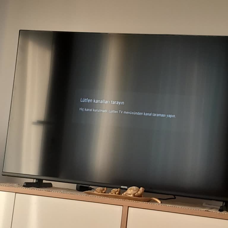 Vestel TV Kurulumunda İlgisizlik Ve Yetersiz Hizmet