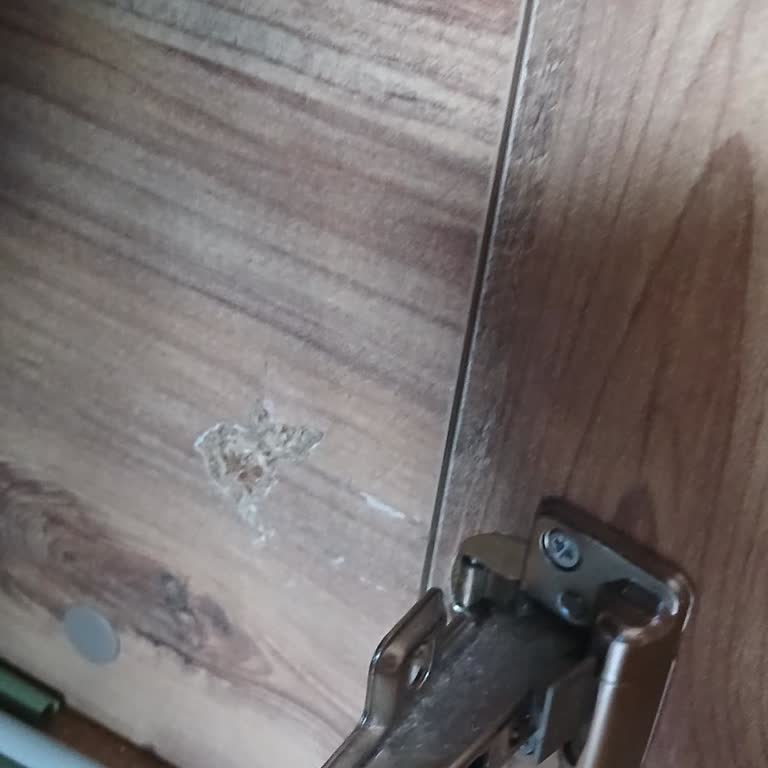 Mobilya Ürünlerinde Kullanım Sorunu ve Acil Destek Talebi