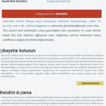 Kazancımın Ödenmemesi Ve Canlı Destekte Yaşanan Sorunlar