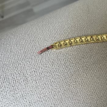 Ceren Kıvanç Bileklik Karardı