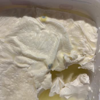 Son Kullanma Tarihi Geçmemiş Yoğurtlar Hızla Küfleniyor