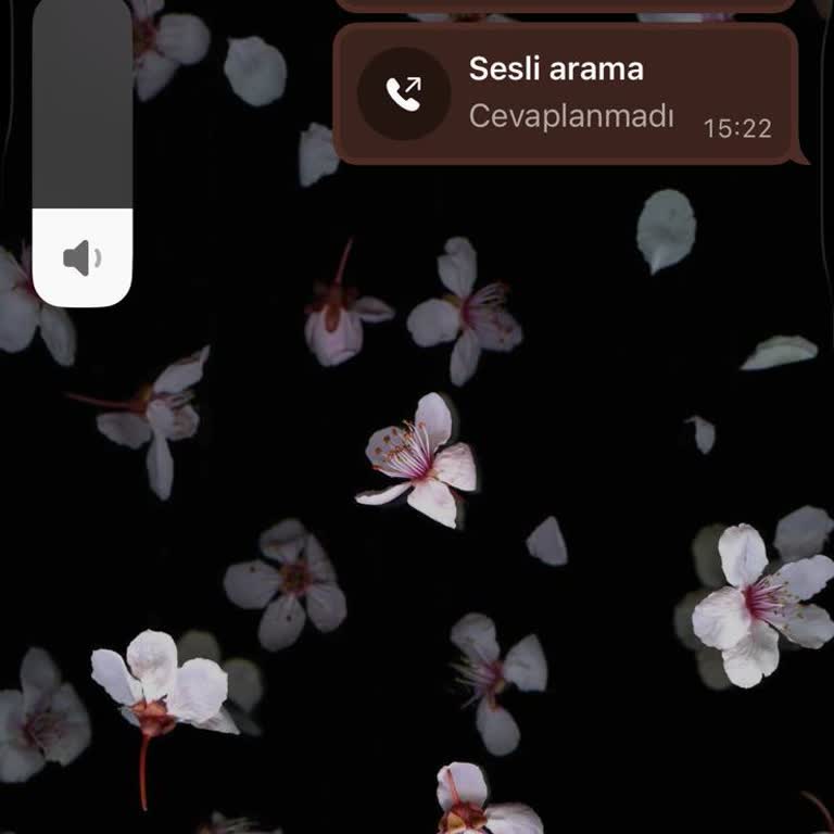 Kırılan Scooter İçin Muhatap Bulamıyoruz, Acil Çözüm Bekliyoruz