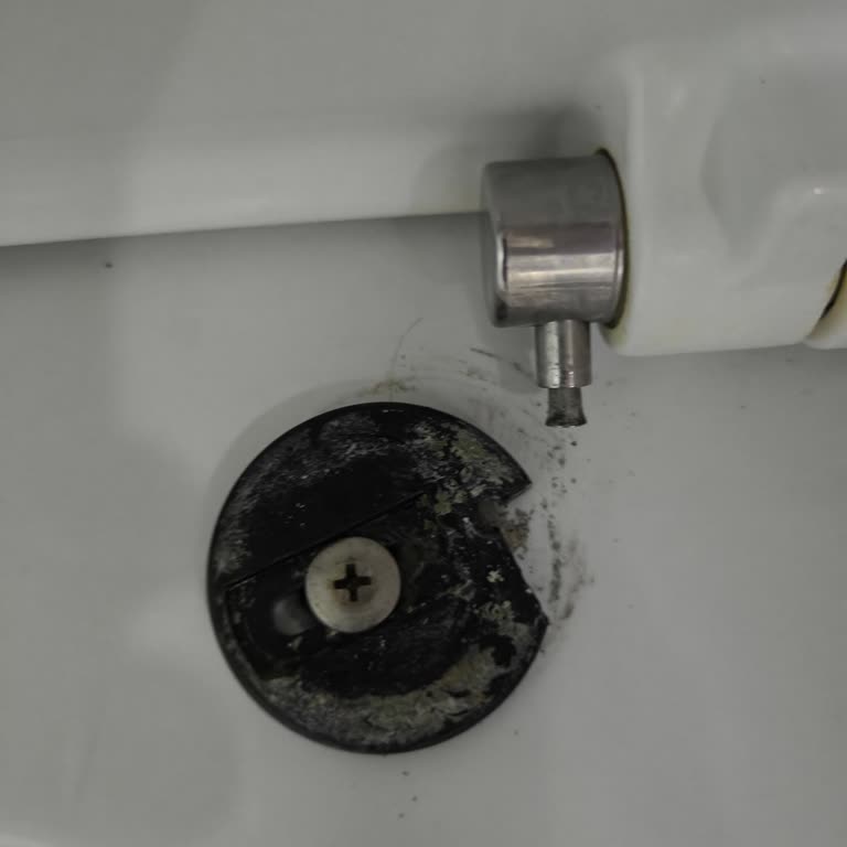 Klozet Kapağı Menteşe Parçası Bulunamıyor, Yardım Talebi