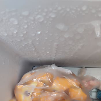 Bosch Teşhir Buzdolabında Sorun Ve Değişim Sürecinde Mağduriyet