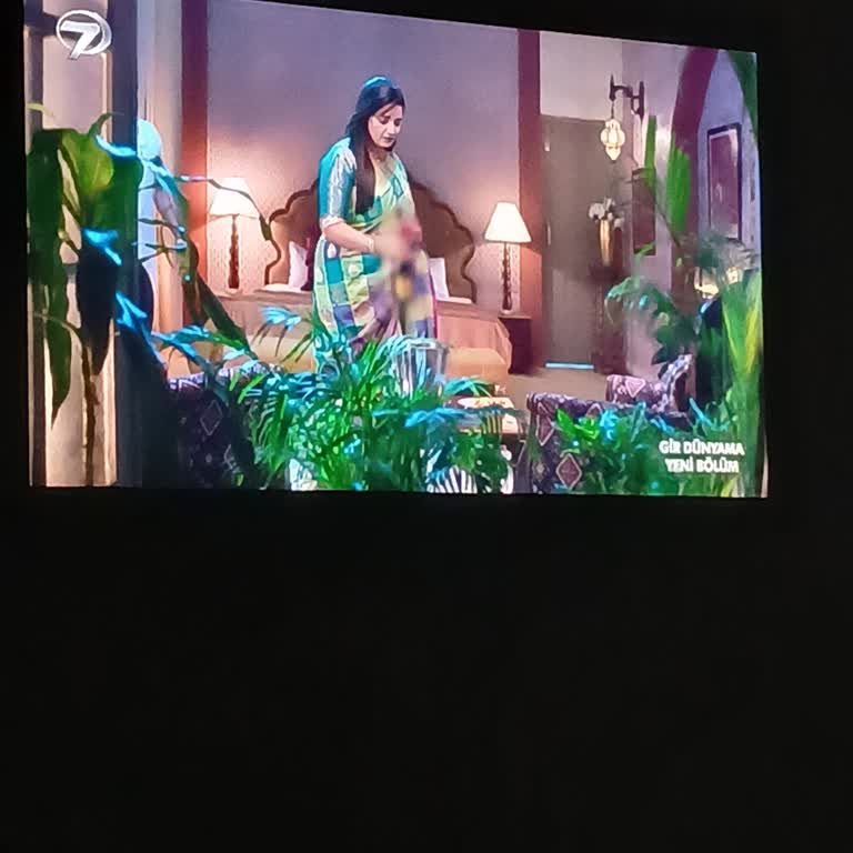 Hint Dizilerinin Toplum Değerlerimize Uygun Olmaması Rahatsız Ediyor