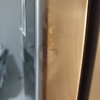 5 Aylık Buzdolabında Boya Atması Ve Garanti Sorunu