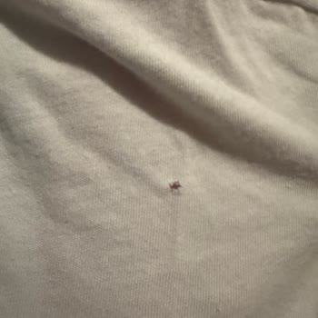 Siemens Çamaşır Makinesinde Sürekli Arıza Ve Yetersiz Servis Deneyimi