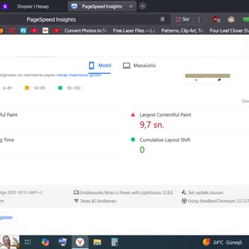Natro Hosting'de Sürekli Yavaşlık Ve İlgisiz Destek