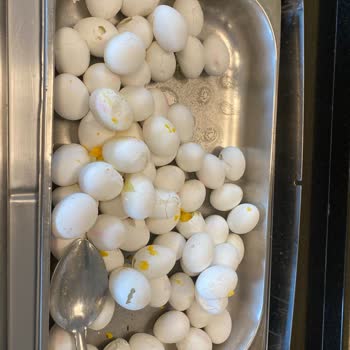 Param İade Edilmedi, Kötü Otel Deneyimi Yaşadım