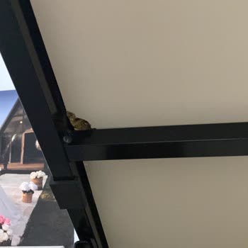 Doğtaş Mobilya Kırık Teslim Edilen Yatak Tablası İçin Aylarca Çözüm Bulunamadı