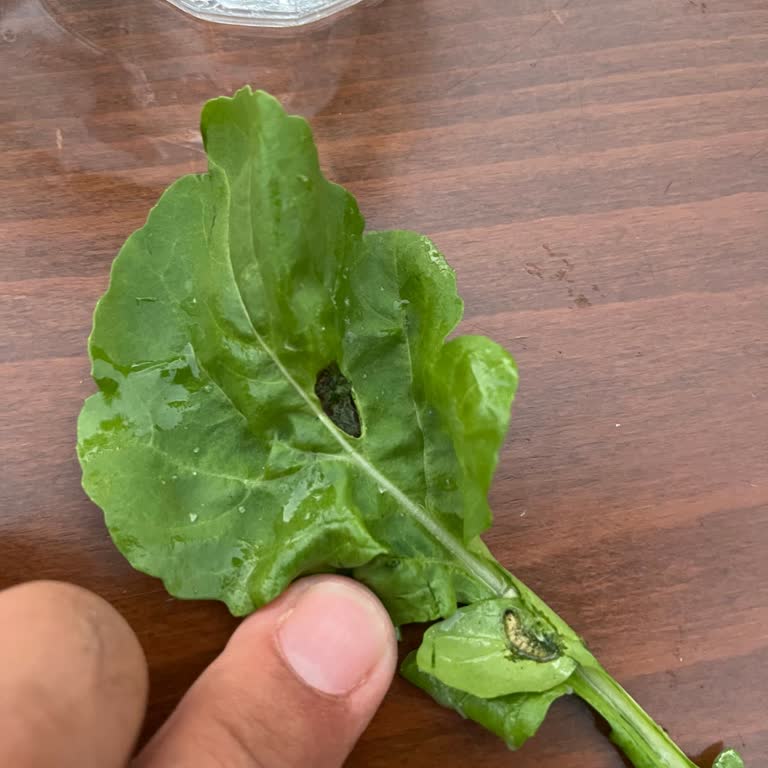 Otel Temizlik Ve Hizmette Büyük Hayal Kırıklığı