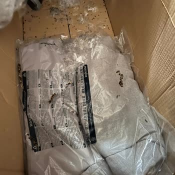 Bebek Arabasında Fare Dışkısı Hijyen Skandalı Yaşadık