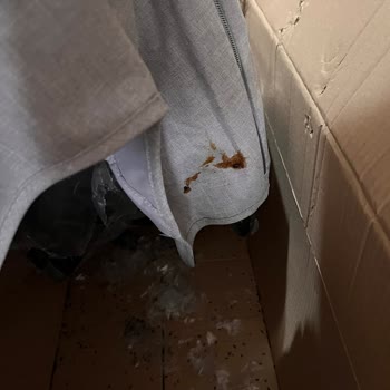 Bebek Arabasında Fare Dışkısı Hijyen Skandalı Yaşadık