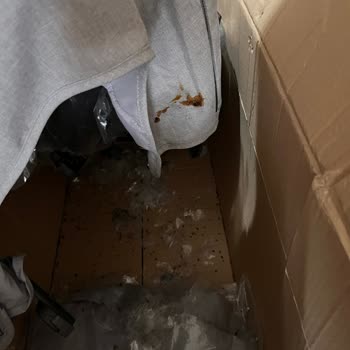 Bebek Arabasında Fare Dışkısı Hijyen Skandalı Yaşadık