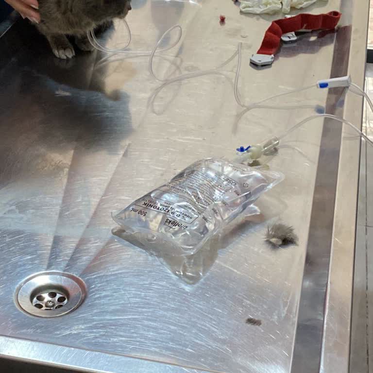 Tedavi Sürecinde Maddi Beklenti Ve İlgisizlik Nedeniyle Büyük Hayal Kırıklığı