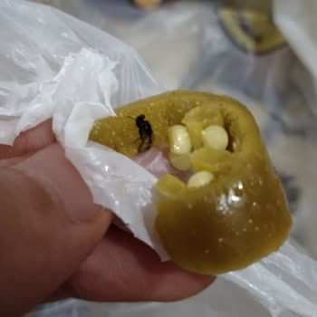 Geç Teslimat, Kötü Lezzet Ve Hijyen Sorunları Nedeniyle Mağduriyet Yaşadım