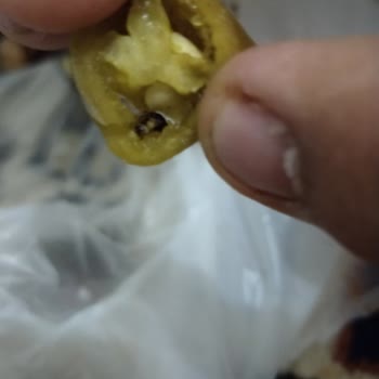 Geç Teslimat, Kötü Lezzet Ve Hijyen Sorunları Nedeniyle Mağduriyet Yaşadım