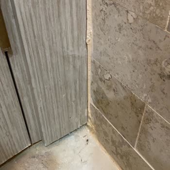 Beyaz Konak Otel | Ayvalık Bizi Hayal Kırıklığına Uğrattı!