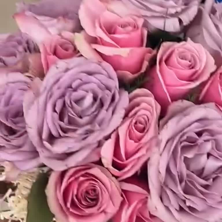 Taze Çiçek Siparişimde Tekrar Bayat Ve Farklı Çiçek Gönderildi