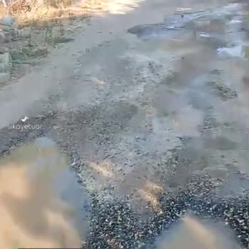 Tekirdağ Büyükşehir Belediyesi Sayın Başkanım Şu Anda Komşular Çekip Gönderdiler