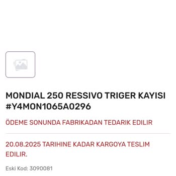 Mondial Ressivo 250 Motosiklet İçin Yedek Parça Temininde Büyük Sorun Ve Yetersiz Müşteri Desteği