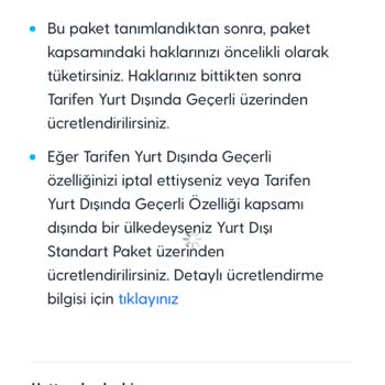 Avrupa Gezgin Paketi Kullanırken Ekstra Ücretlendirme Sorunu