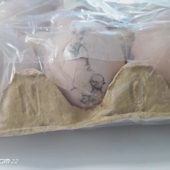 Gizova Gıda İle Yaşadığım Sorunlar