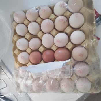 Gizova Gıda İle Yaşadığım Sorunlar