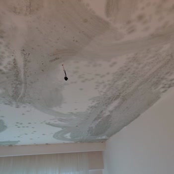Ona 212 Sitesi'nde Yaygın Nem Ve Küf Sorununa Kalıcı Çözüm Bekliyoruz