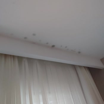 Ona 212 Sitesi'nde Yaygın Nem Ve Küf Sorununa Kalıcı Çözüm Bekliyoruz