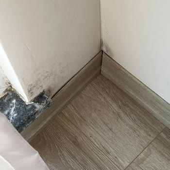 Ona 212 Sitesi'nde Yaygın Nem Ve Küf Sorununa Kalıcı Çözüm Bekliyoruz