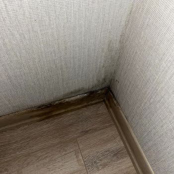 Ona 212 Sitesi'nde Yaygın Nem Ve Küf Sorununa Kalıcı Çözüm Bekliyoruz