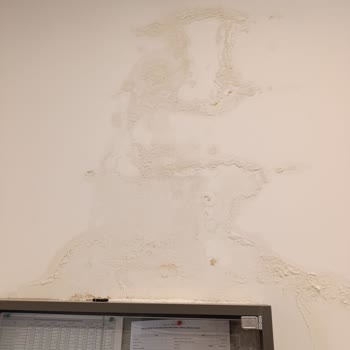 Ona 212 Sitesi'nde Yaygın Nem Ve Küf Sorununa Kalıcı Çözüm Bekliyoruz