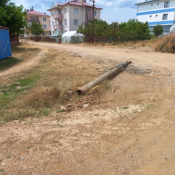 Tehlikeli Şekilde Devrilen Telefon Direği İçin Acil Çözüm Bekliyoruz