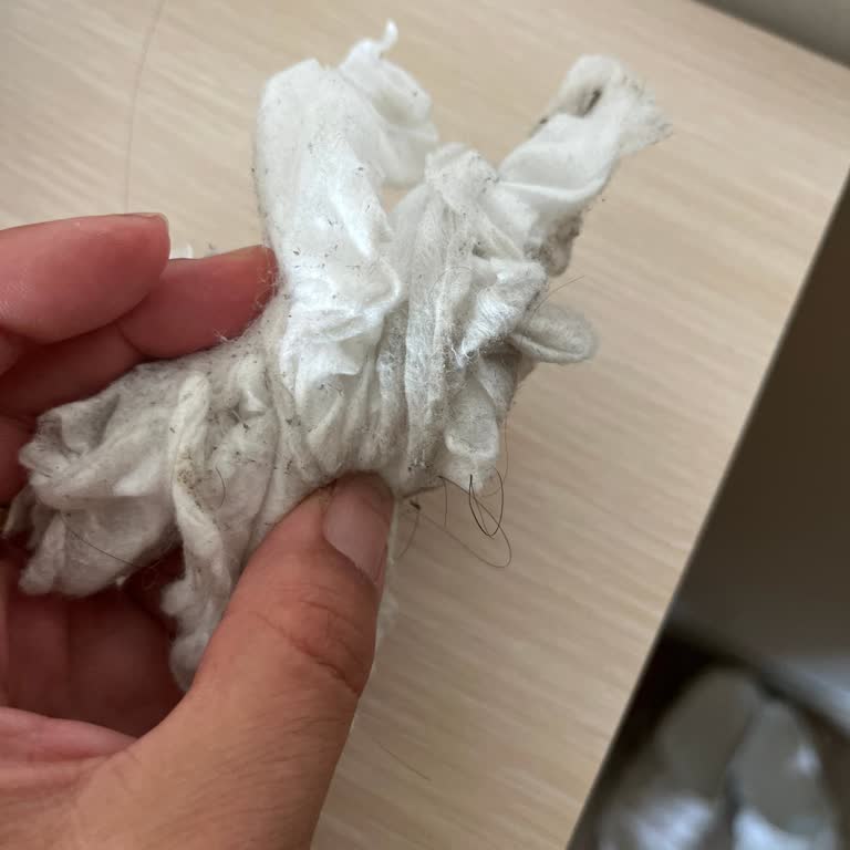 Pendik'te Halı Yıkama Mağduriyeti Ve İlgisizlik