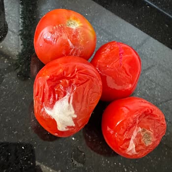 Buzdolabım Soğutmuyor, Gıdalarım Sürekli Bozuluyor