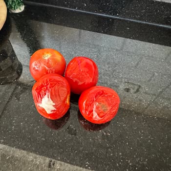 Buzdolabım Soğutmuyor, Gıdalarım Sürekli Bozuluyor