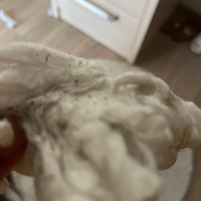 Yıkamadan Sonra Halılarım Kirli Ve Temizlenmemiş Geri Geldi